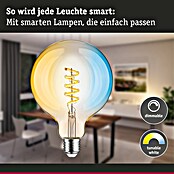 Paulmann Smart-LED-Lampe (E27, Dimmbar, Neutralweiß, 600 lm, 7,5 W, G125, Globe) | BAUHAUS