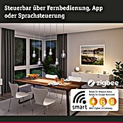 Paulmann Smart-LED-Lampe (E27, Dimmbar, Neutralweiß, 600 lm, 7,5 W, G95, Globe) | BAUHAUS