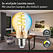 Paulmann Smart-LED-Lampe (E27, Dimmbar, Neutralweiß, 600 lm, 7,5 W, Birne) | BAUHAUS