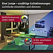 Paulmann Smart-LED-Lampe (E27, Dimmbar, RGBW, 470 lm, 6,3 W, G125, Globe) | BAUHAUS