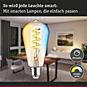 Paulmann Smart-LED-Lampe (E27, Dimmbar, Neutralweiß, 600 lm, 7,5 W, ST64, Tropfen) | BAUHAUS