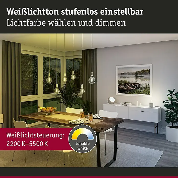 Paulmann Smart-LED-Lampe - E27, Dimmbar, Neutralweiß, 600 lm, 7,5 W, G95, Globe - Produktbild: Stufenlos einstellbarer Weißlichtton für Lampen, Lichtfarbe wählbar und dimmbar, 2200 K-5500 K für tunable white.