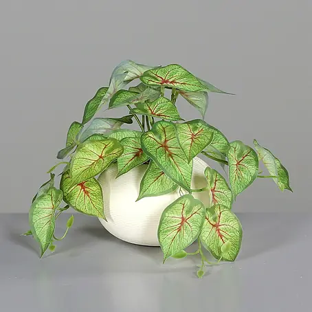 Kunstpflanze Syngonium Ranke