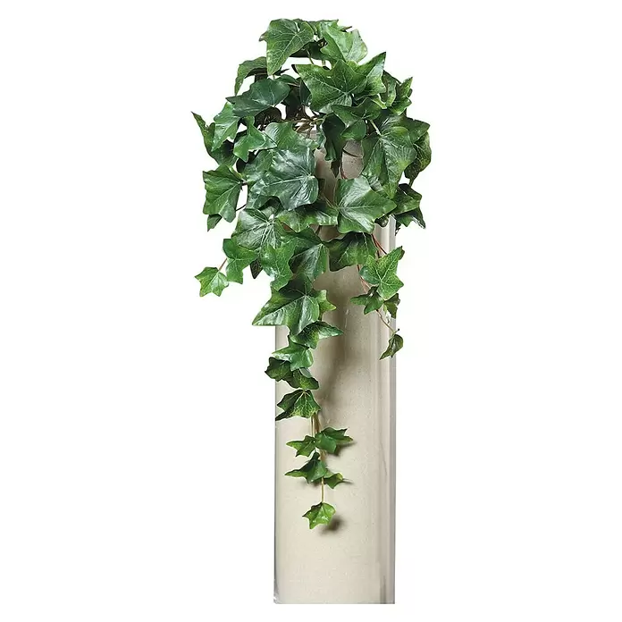 Kunstpflanze Efeuhänger - Höhe: 45 cm, Grün, Kunststoff - Künstliche grüne Efeupflanze mit hängenden Blättern in einer hohen, hellbeigen zylindrischen Vase.