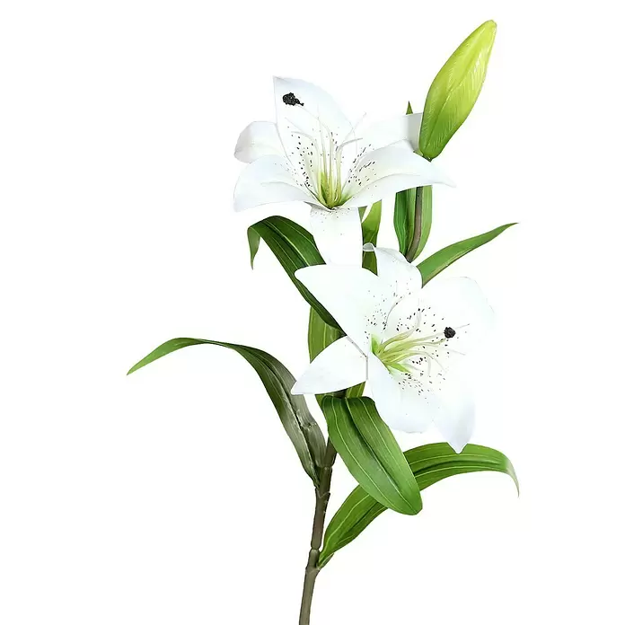 Kunstblume Lilie - 75 cm, Cream, Kunststoff - Zwei weiße Lilien mit grünen Blättern und einer Knospe, mit dunklen Staubgefäßen und Sprenkeln.