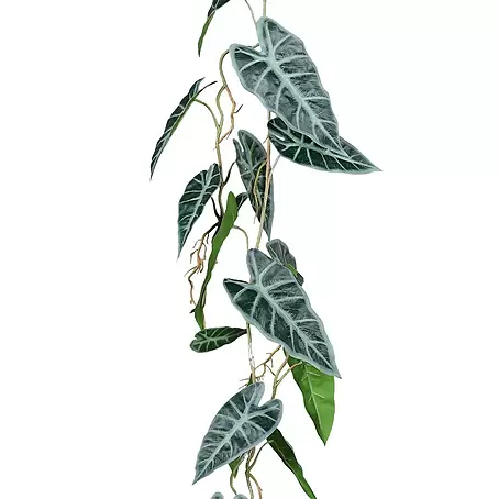 Kunstpflanze Alocasia Ranke