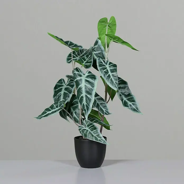 Kunstpflanze Alocasia - Höhe: 56 cm, Grün, Kunststoff - Dekorative Zimmerpflanze in einem schwarzen Topf, ideal zur Aufwertung jeder Inneneinrichtung.