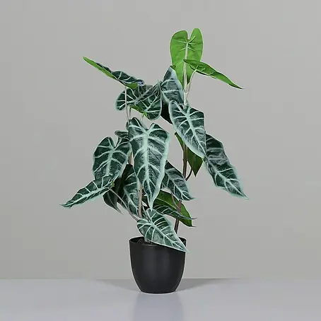 Kunstpflanze Alocasia