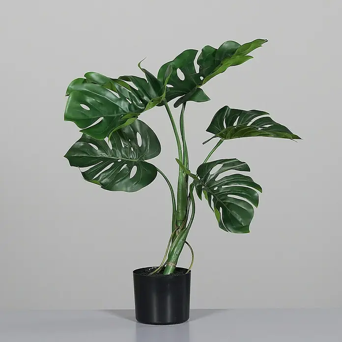 Kunstpflanze Split-Philo-Pflanze - Höhe: 60 cm, Grün, Kunststoff - Zimmerpflanze Monstera im schwarzen Topf, ideal für Innenräume. Die Pflanze hat markante, gelöcherte Blätter.