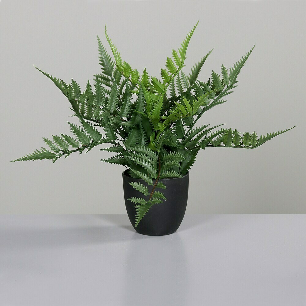 Kunstpflanze Farn - Hhe: 30 cm, Grn, Kunststoff online kaufen bei BAUHAUS