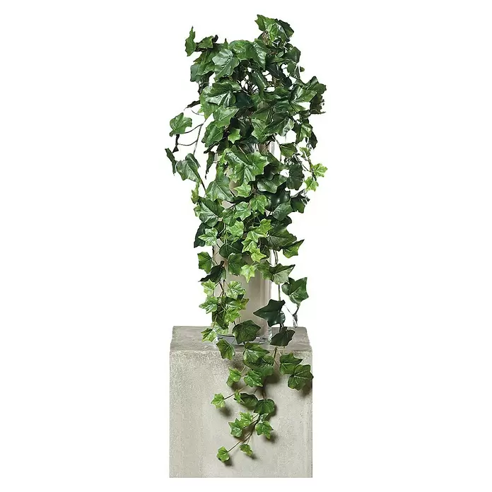 Kunstpflanze Efeuhänger - 80 cm, Grün, Kunststoff - Künstliche grüne Efeupflanze in klarem Gefäß auf hellem Sockel.