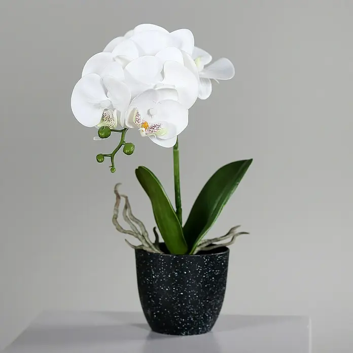 Kunstblume Orchidee Natural Touch - 36 cm, Cream, Kunststoff - Nahaufnahme einer künstlichen weißen Orchidee in einem strukturierten, schwarzen Topf auf einer weißen Oberfläche vor einem grauen Hintergrund.