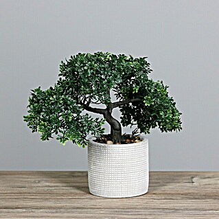 Kunstpflanze Bonsai (Höhe: 26 cm, Grün, Kunststoff)