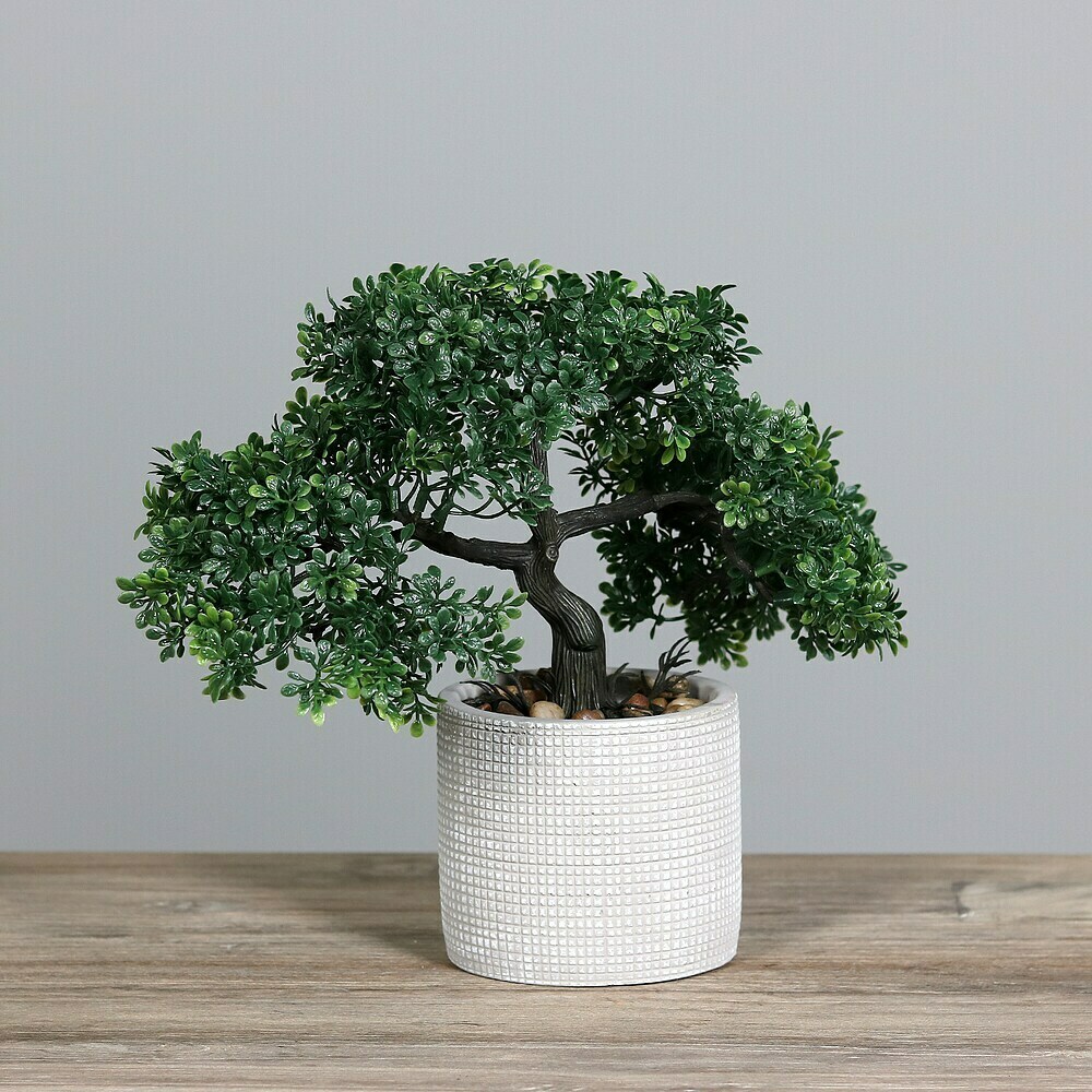 Kunstpflanze Bonsai - Hhe: 26 cm, Grn, Kunststoff online kaufen bei  BAUHAUS