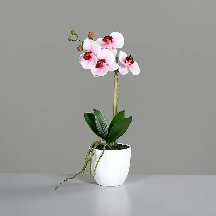 Kunstblume Orchidee Real Touch - 40 cm, Pink/Weiß, Kunststoff - Elegante Kunstorchidee mit zarten Blütenblättern und grünen Blättern in einem schlichten weißen Topf, perfekt für die stilvolle Dekoration Ihres Zuhauses.