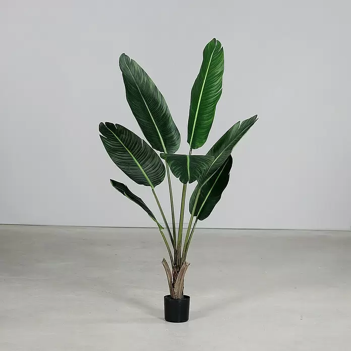 Kunstpflanze Strelizie - Höhe: 134 cm, Grün, Kunststoff - Hohe künstliche Paradiesvogelblume mit dunkelgrünen Blättern im schwarzen Topf.