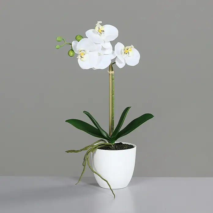 Kunstblume Orchidee Real Touch - 40 cm, Cream, Kunststoff - Elegante weiße Orchidee im Topf. Die Kunstpflanze ist eine dekorative Ergänzung für jeden Raum und verleiht ihm einen Hauch von Eleganz.