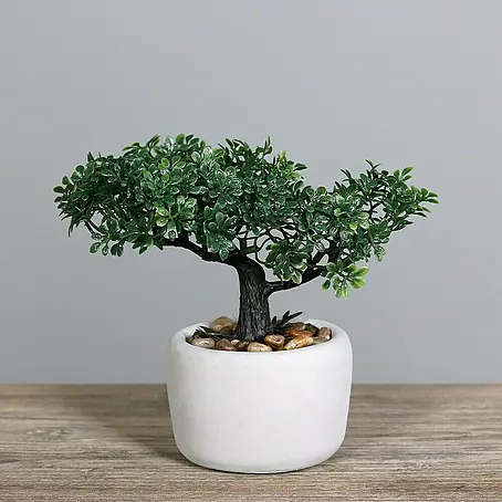Kunstpflanze Bonsai