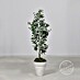 Planta artificial 