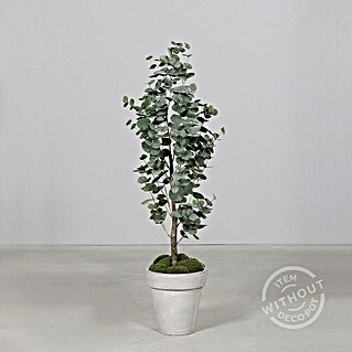 Kunstpflanze Eukalyptus (Höhe: 120 cm, Grün, Kunststoff)