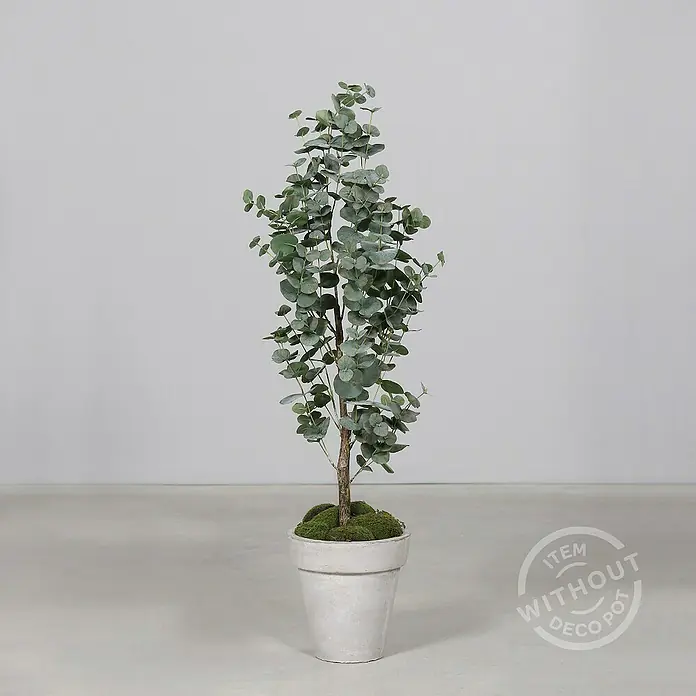 Kunstpflanze Eukalyptus - Höhe: 120 cm, Grün, Kunststoff - Dekorative Eukalyptus-Pflanze im schlichten Topf, ideal für Innenräume. Bringt einen Hauch von Natur in jeden Raum, ohne aufwendige Pflege.