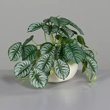 Kunstpflanze Calathea Ranke