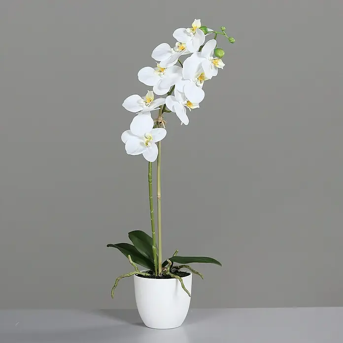 Kunstblume Orchidee Real Touch - 54 cm, Cream, Kunststoff - Nahaufnahme einer eleganten weißen Orchidee in einem weißen Topf, die eine beruhigende und friedliche Atmosphäre vermittelt.