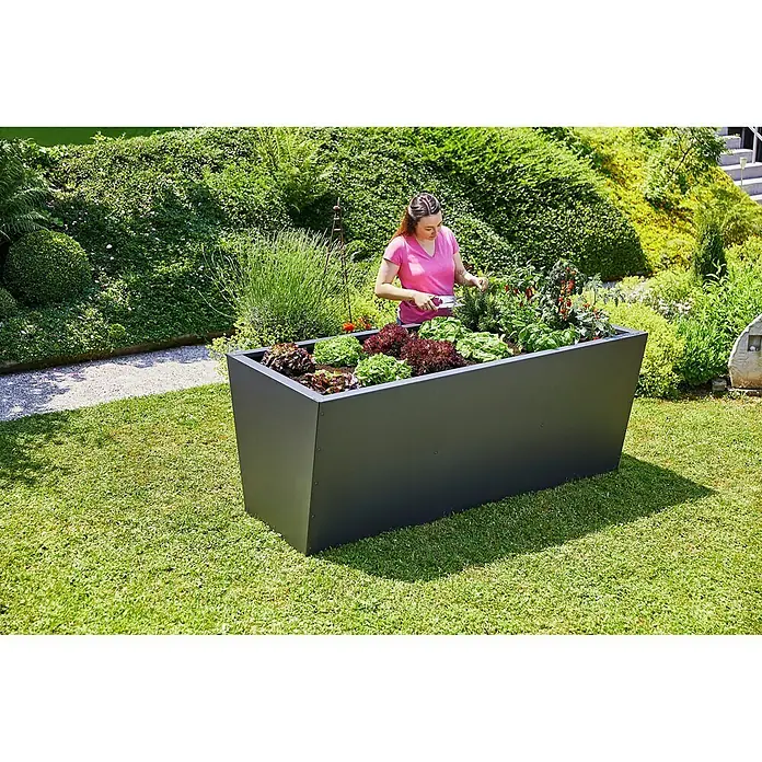 Gutta Hochbeet Valenta 150 - 150 x 90 x 80 cm, Aluminium, Anthrazit - Frau gärtnert in einem schwarzen Hochbeet mit Salat und Tomaten im Garten.