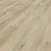Eiche Erusa