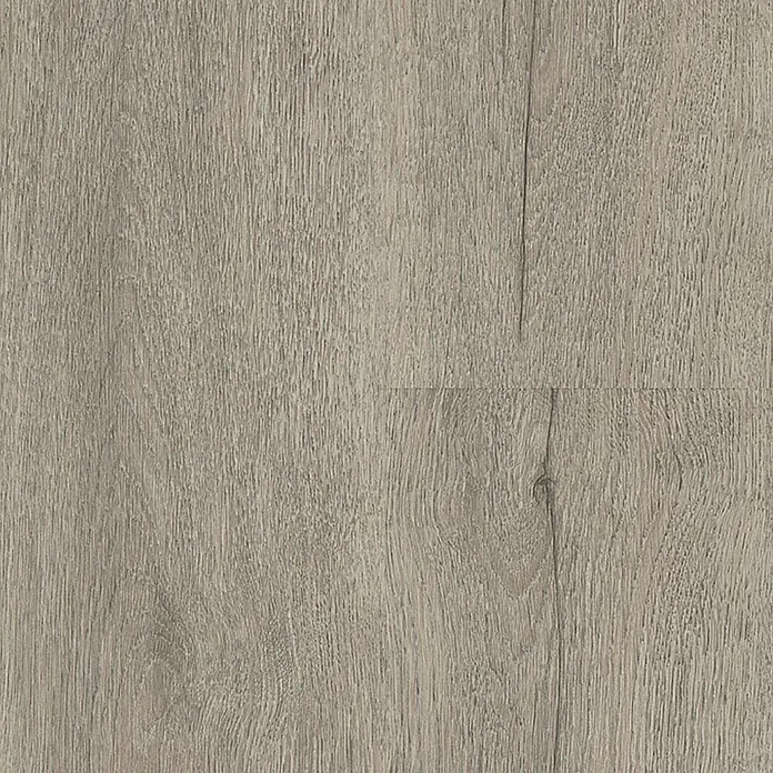 LOGOCLIC Family Laminatmuster Eiche Montana - 300 x 192 x 7 mm, Landhausdiele - Heller Holzbodenbelag in Grau mit feiner Maserung und sichtbaren Holzstrukturen für ein modernes Raumgefühl.