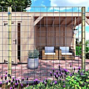 Outdoor Life Products Gaashekwerk Grenen (360 x 190 cm) | BAUHAUS