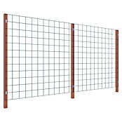 Gaashekwerk Hardhout (360 x 190 cm, Bruin) | BAUHAUS