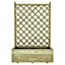 Plantenbak Grenen Trellis 