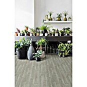 Beauflor PVC-Bodenbelag Meterware Feelings (Chapman Oak, Breite: 400 cm, Grau) | BAUHAUS