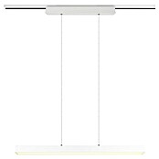 Trio Lighting DUOline Led-railsysteem (5 x 90 x 180 cm, Wit) | BAUHAUS