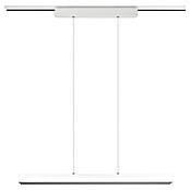 Trio Lighting DUOline Led-railsysteem (5 x 90 x 180 cm, Wit) | BAUHAUS