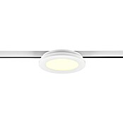 Trio Lighting DUOline Led-railsysteem (l x b x h: 17 x 17 x 2,9 cm) | BAUHAUS