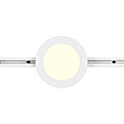 Trio Lighting DUOline Led-railsysteem (l x b x h: 17 x 17 x 2,9 cm) | BAUHAUS