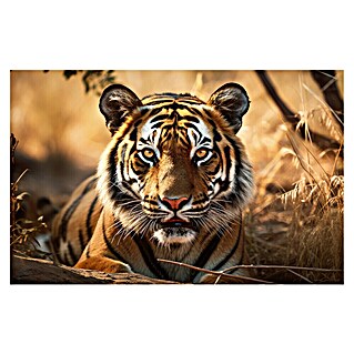 Cuadro Tigre (Tigre, An x Al: 140 x 90 cm, 1 pzs.)