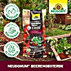 Neudorff NeudoHum Obst- & Beerenerde (20 l) | BAUHAUS