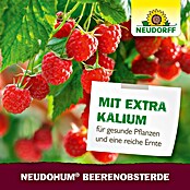 Neudorff NeudoHum Obst- & Beerenerde (20 l, Torffrei) | BAUHAUS