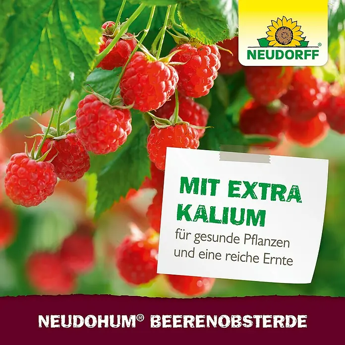 Neudorff NeudoHum Obst- & Beerenerde - 20 l - NEUDOHUM® Beerenobsterde mit Extra Kalium für gesunde Pflanzen und eine reiche Ernte.