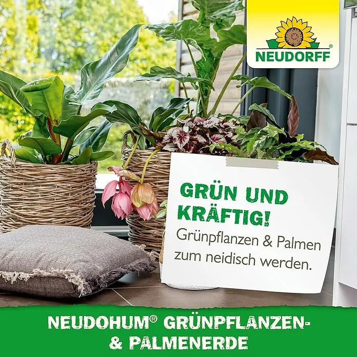 Neudorff NeudoHum Grünpflanzen- & Palmenerde - 20 l, Torffrei - Dekorative Zimmerpflanzen in Körben mit Neudorff-Blumenerde für Grünpflanzen und Palmen, die für gesundes Wachstum und üppiges Grün sorgen.