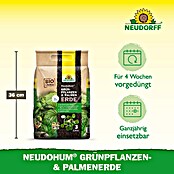 Neudorff NeudoHum Grünpflanzen- & Palmenerde (3 l, Torffrei) | BAUHAUS