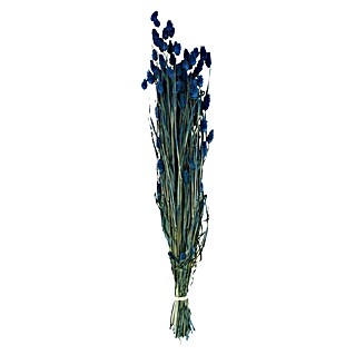 Ramo de flores secas (Largo: 70 cm, Azul)