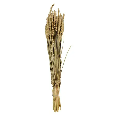 Ramo de flores secas Triticum