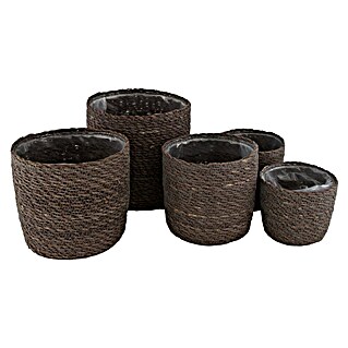 Maceta con interior de plástico Tadeo (Dimensiones externas (Ø x Al): 19 x 18 cm, Materiales naturales, Marrón, 1 ud.)