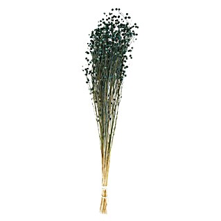 Ramo de flores secas de Lino (Largo: 55,5 cm, Azul)