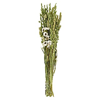 Ramo de flores secas (Largo: 51 cm, Verde)