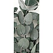 Ramo de flores secas Eucalipto (Largo: 50 cm, Verde) | BAUHAUS